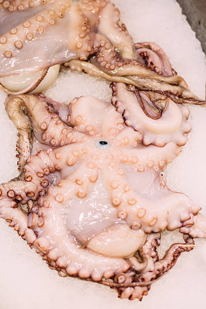 istock Raw fresh octopus on ice in market store shop 539649028