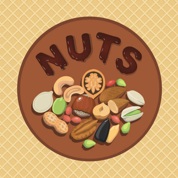 ilustrações, clipart, desenhos animados e ícones de coleção de porca com alimentos crus mistura de ida e volta e rótulo ilustração - peanut nut snack isolated
