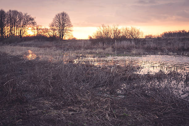 istock Scenic rural landscape during sunset in contryside nearby river 539653446