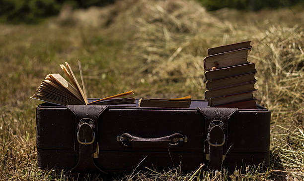 istock suitcase with books in the field 539654698