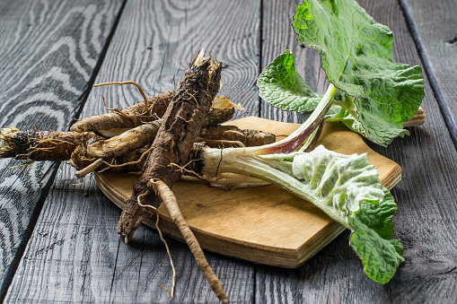 The roots and leaves of burdock on a board