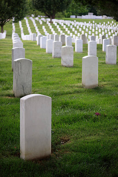 cemitério nacional de arlington - arlington virginia arlington national cemetery veteran cemetery imagens e fotografias de stock