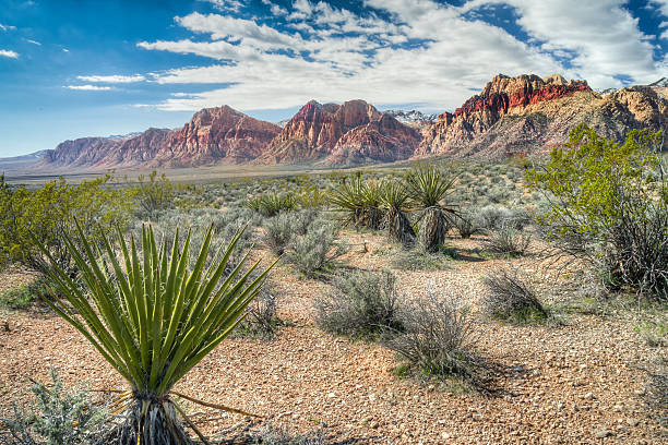 Red Rock Canyon National Conservation Area Mountains along Red Rock Canyon National Conservation west of Las Vegas, Nevada. nevada landscape stock pictures, royalty-free photos & images