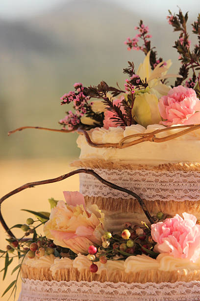 Rustic Wedding Cake stock photo