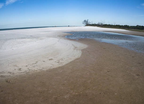 istock North Beach Fort De Soto Park 539660108