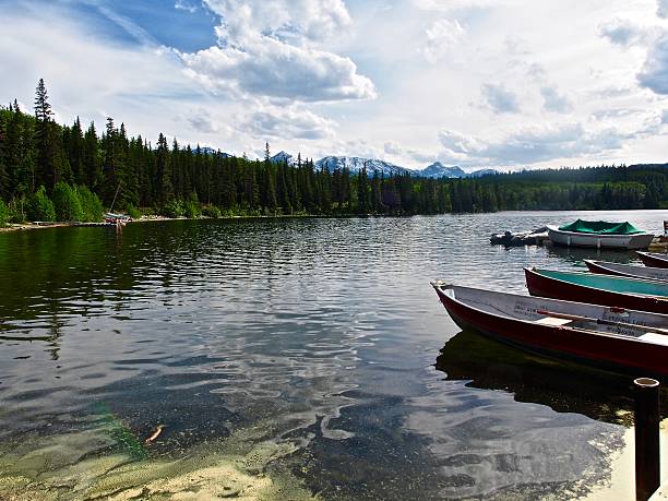 istock Day At The Lake 539663326