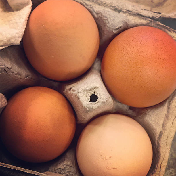 istock Brown Eggs in Carton 539664216