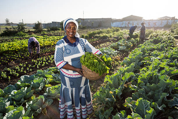 Confident African woman in vegetable garden