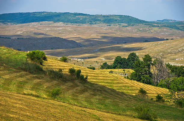 istock Panorama of Pester plateau landscape 539671068