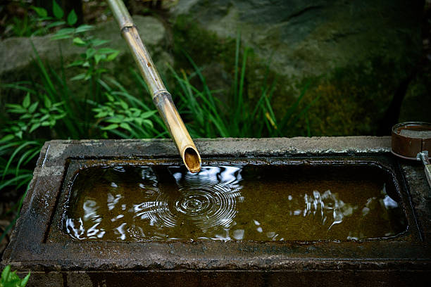 istock Stone wash basin found in Japanese gardens 539671714