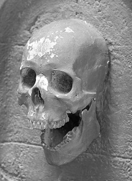 istock black and white Human skulls embedded in the wall 539672736