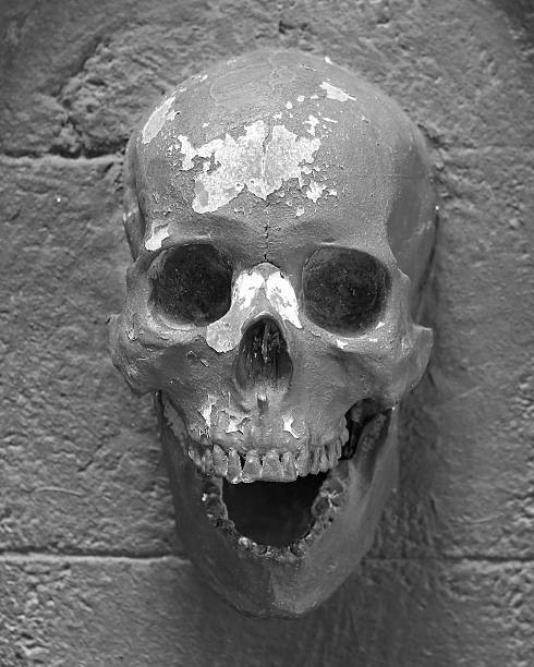istock black and white Human skulls embedded in the wall 539672778