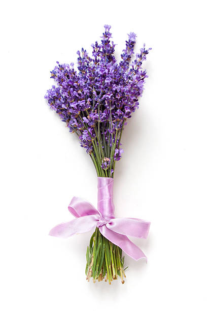 istock Lavander flowers bouquet on white background 539675082