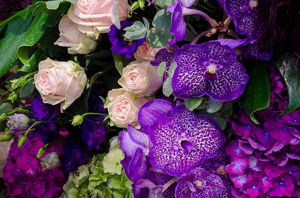 美しい花の構成 - cut flowers rose purple flower arrangement ストックフォトと画像