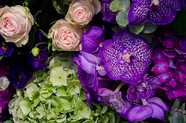 美しい花の構成 - cut flowers rose purple flower arrangement ストックフォトと画像