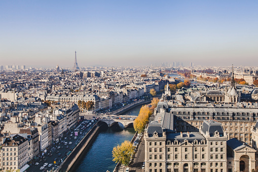 aerial view of Paris, panoramic scene of Seine river and Eiffel tower, France