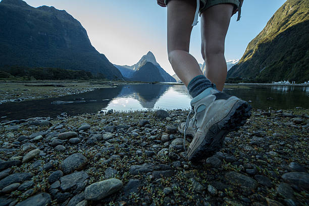 マイフッドの道の写真 930+ Road To Milford Sound Stock Photos, Pictures & Royalty-Free