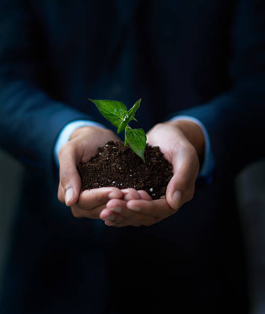 istock The future of business is in safe hands 539686956