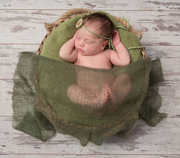 istock newborn girl sleeping in a wicker basket 539687248