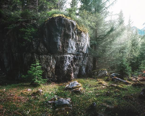 Forest near Cierny Kamen Mountain in Velka Fatra National Park, Slovakia