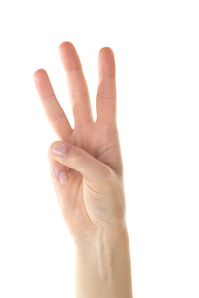 istock Female Hand is Making Number Three Sign on White Background 539817894