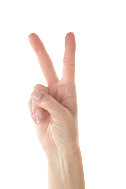 istock Female Hand is Making Number Two Sign on White Background 539817928