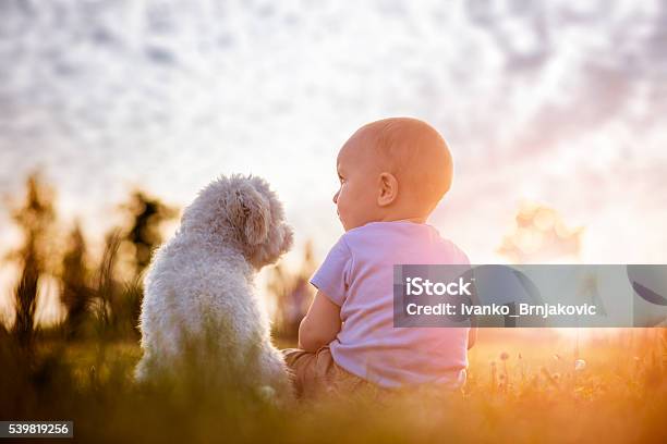 少年と子犬 - 犬のストックフォトや画像を多数ご用意 - 犬, 赤ちゃん, 子供