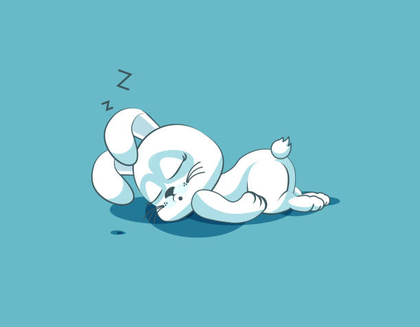 isolated Emoji character cartoon White leveret sleeps on the stomach Vector Stock Illustration isolated Emoji character cartoon White leveret sleeps on the stomach sticker emoticon for site, info graphic, video, animation, websites, e-mails, newsletters, reports, comics hare and leveret stock illustrations