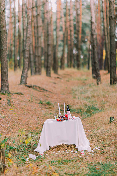 istock Cute table for romantic dinner in the autumn forest 539824254