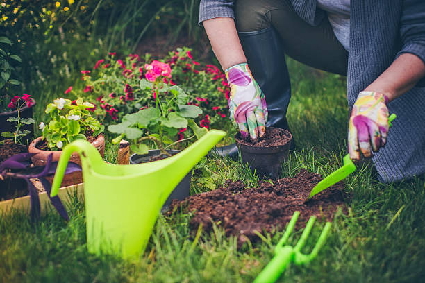 istock Cherishing my garden 539828540
