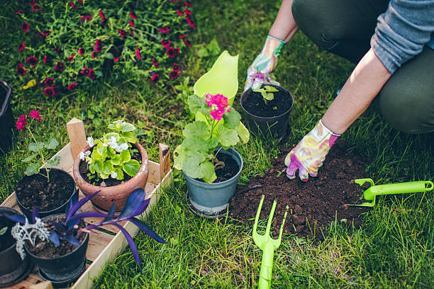 istock Cherishing my garden 539828704