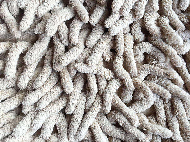 istock Old dirty doormat for clean and wipe foot. Background texture 539829210