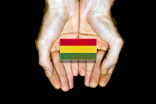 Flag of Bolivia in hands isolated on black background.