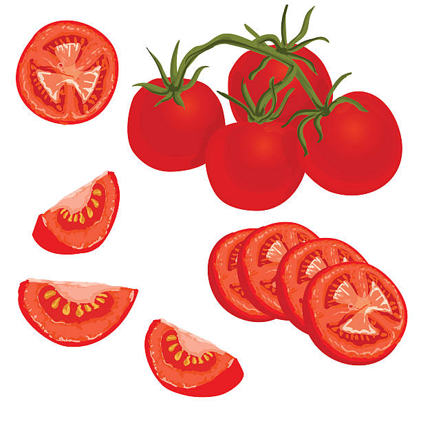 Illustration of tomato Tomatoes set. Vector illustration of whole and sliced ripe fresh tomatoes on white background, isolated tomato slice stock illustrations