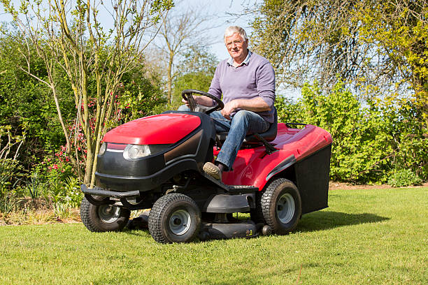 istock Senior gardener cut grass 539834622