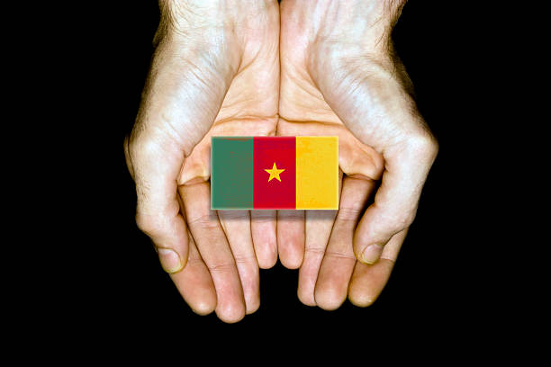 Flag of Cameroon in hands isolated on black background.