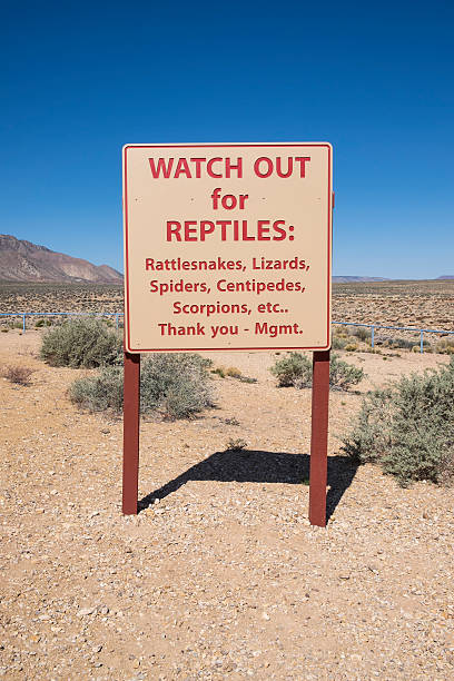 istock Warning Sign in the Desert 539837538