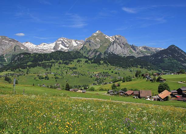 istock Springtime in the Toggenburg valley 539838952
