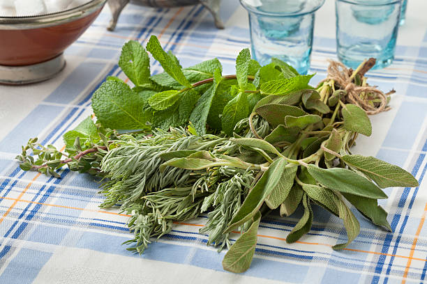 istock Bouquet of fresh Moroccan herbs 539841266