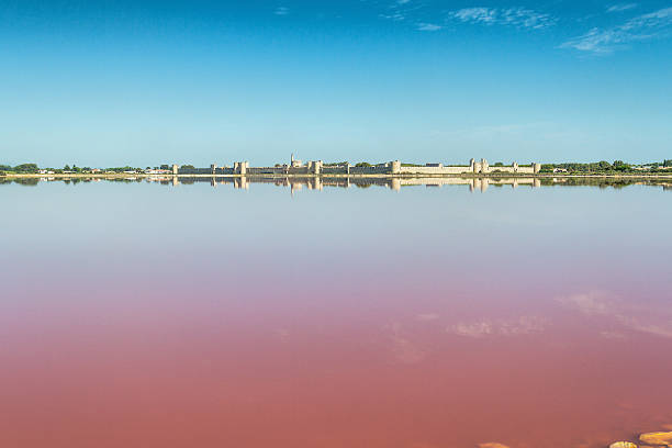 Panoramic view of Aigues-Mortes from salt flats - Camargue - France
