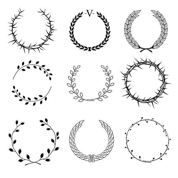 Set of different wreaths Set of different circular wreaths of different plants - thorns, laurel, of ears and seeds of different branches with leaves on a white background in vector graphics thorn stock illustrations