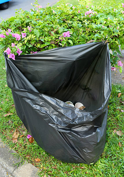 istock Keep garbage in bag for eliminate in the garden 539843842