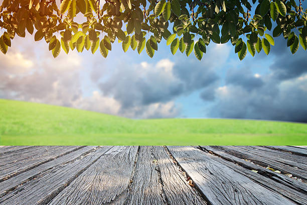 istock The landscap sky and grass on background retouch 539845920