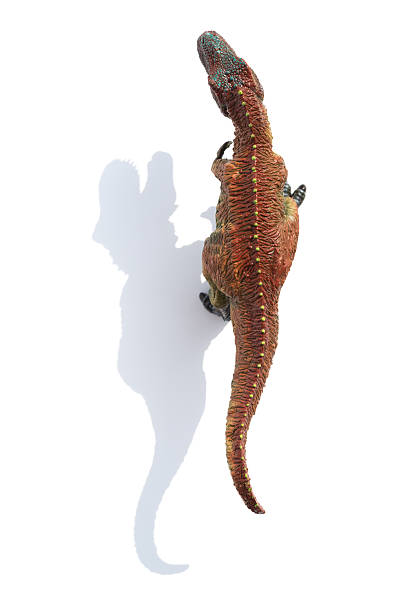green tyrannosaurus on white background