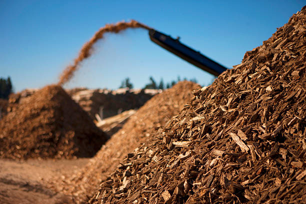 biomasse treibstoff der zukunft - biomasse erneuerbarkeit fotos stock-fotos und bilder