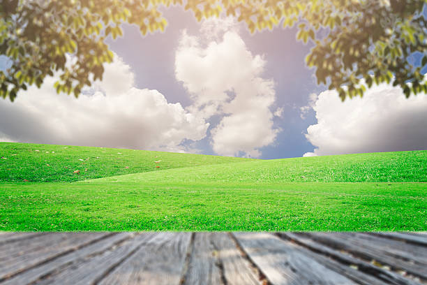 istock The landscap sky and grass on background retouch 539848370
