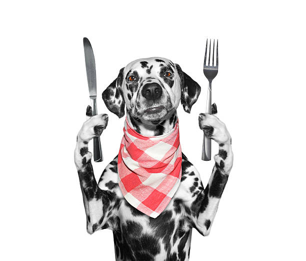 istock dog wants to eat and hold knife and fork 539849746