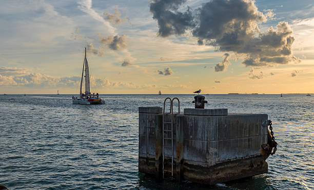 istock Catamaran, sailing towards the horizon 539851096