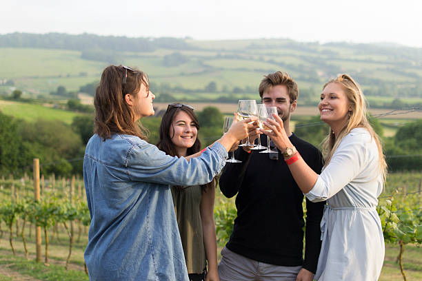 istock Cheers to the vines 539851482