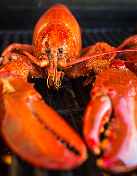 istock Lobster on the barbecue 539851916
